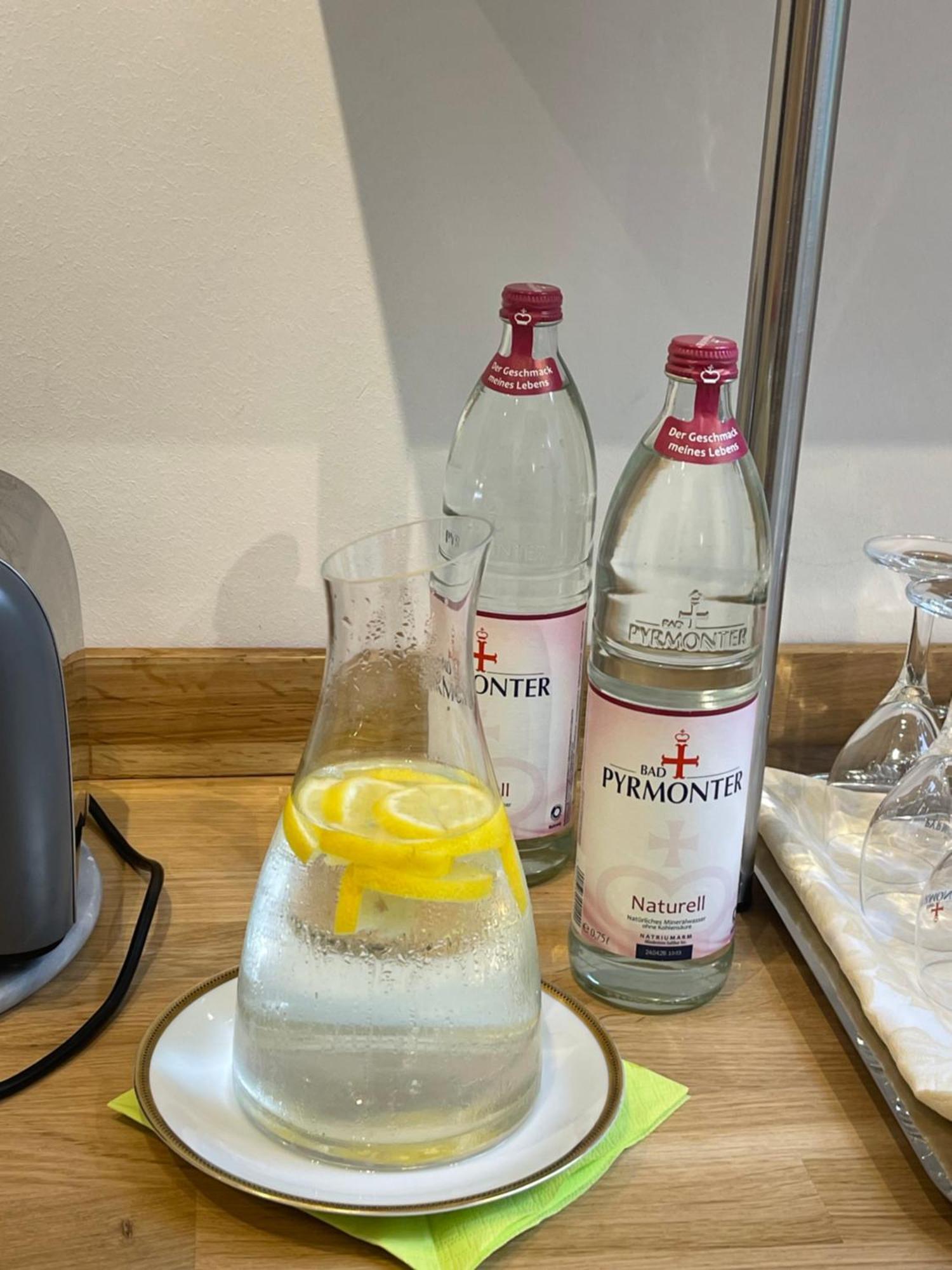 歌德之家酒店 巴特皮尔蒙特 外观 照片